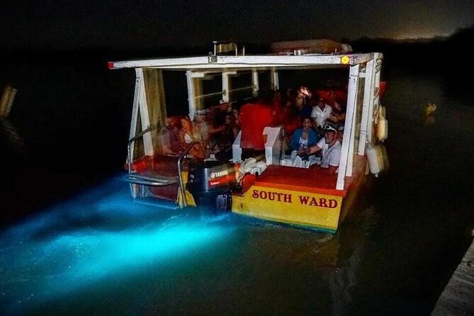 Magical Luminous Lagoon Private Tour - From Montego Bay to Falmouth, without the hassle