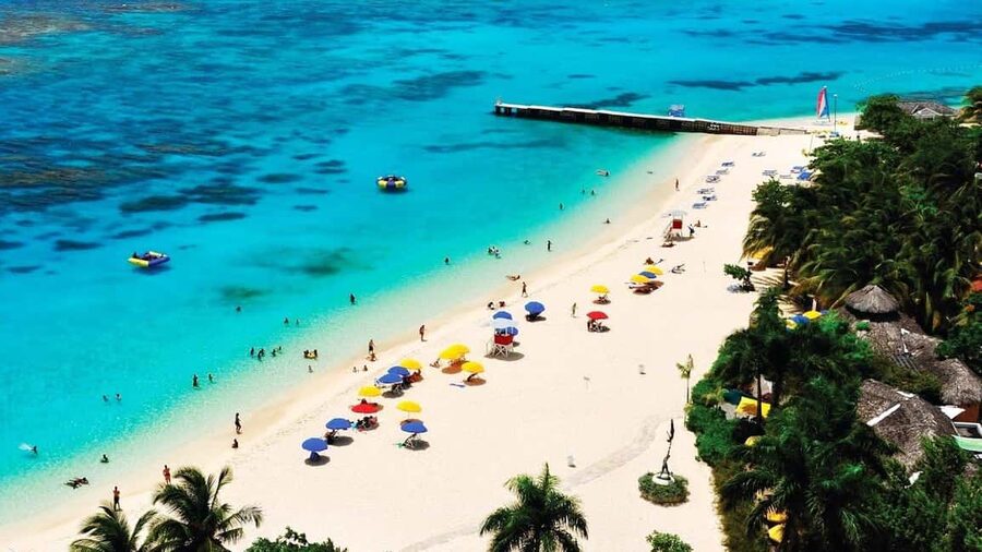 Marijuana Farm, Bamboo Rafting and Doctors Cave Beach Tour - The cannabis farm walk in Montego Bay country: education with green rows