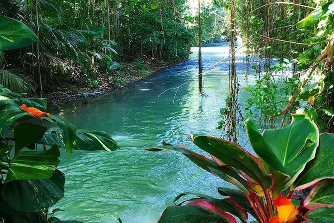 Martha Brae Rafting Adventure - What makes the experience memorable