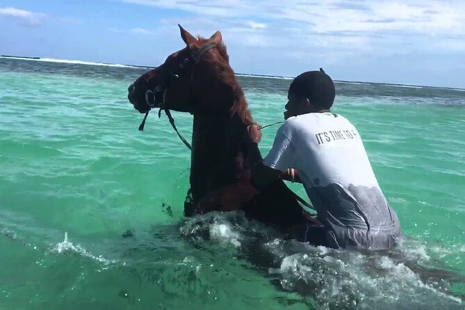 Martha Brae Rafting, Horseback Riding and Luminous Lagoon - Triple Treat - What Makes This Day So Convenient (and Actually Fun)