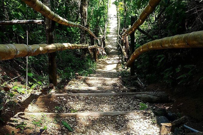 Mayfield Falls, Blue Hole & Rick's Café Tours/Weed Farm option - Why this Montego Bay half-day feels more manageable