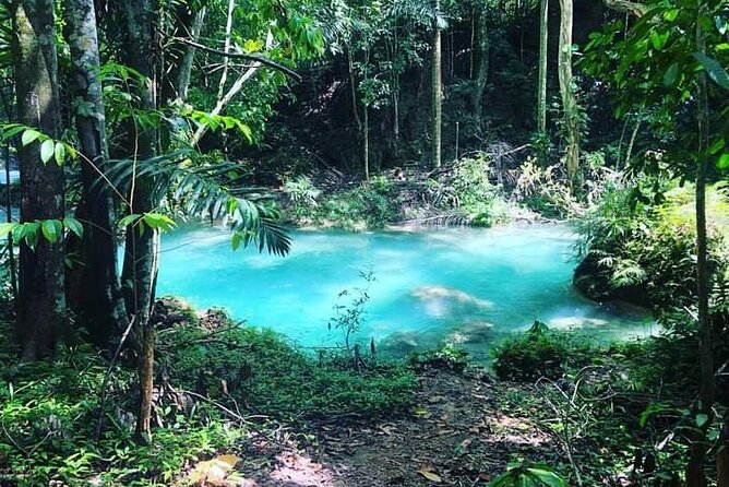 Mayfield Falls, Blue Hole & Rick's Café Tours/Weed Farm option - Who should book this, and who might prefer another plan