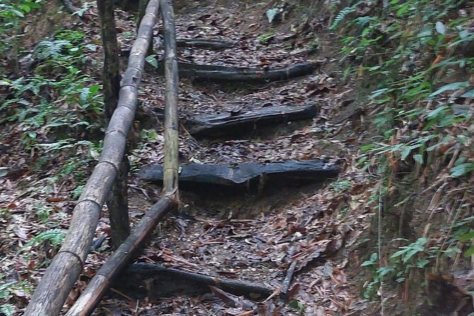 Mayfield Falls nature walk - Price and Value: Why $150 Can Make Sense Here