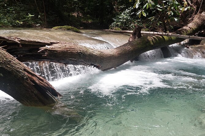 Mayfield Falls nature walk - Comfort Tips for a Wet, Fun Westmoreland Walk