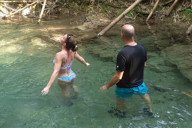 Mayfield Falls nature walk - Who This Tour Fits Best (And Who Might Want a Different Plan)