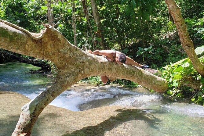 Mayfield Falls Tour with Lunch, drink, Entry & Transp(Original) - Montego Bay to Mayfield Falls: The Easy Yes