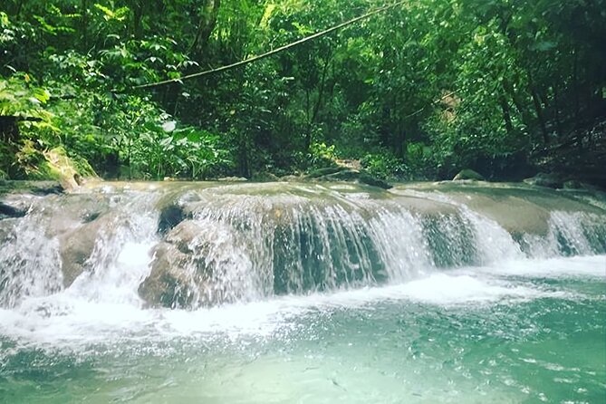 Mayfield Falls Tour with Lunch, drink, Entry & Transp(Original) - Lunch After the Falls, Plus the Food Reality Check