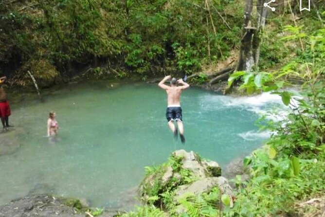Mayfield Falls Tour with Lunch, drink, Entry & Transp(Original) - Pickup Time, Total Duration, and What That Means for Your Day