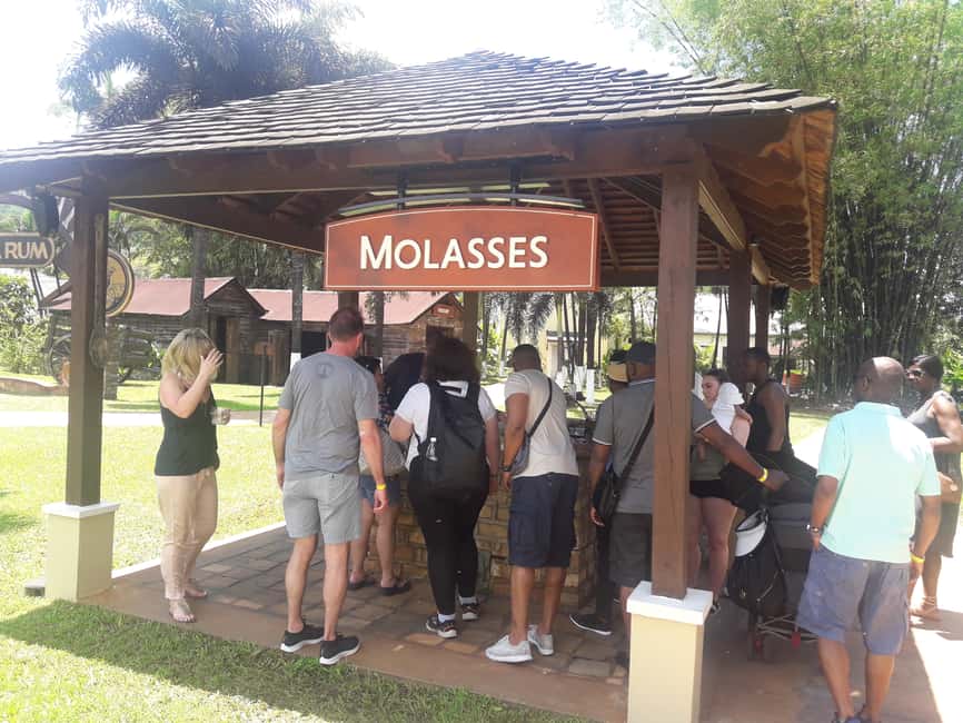 Montego Bay: 8-Hour Appleton & Pelican Bar Return Transfer - Key things to know before you go