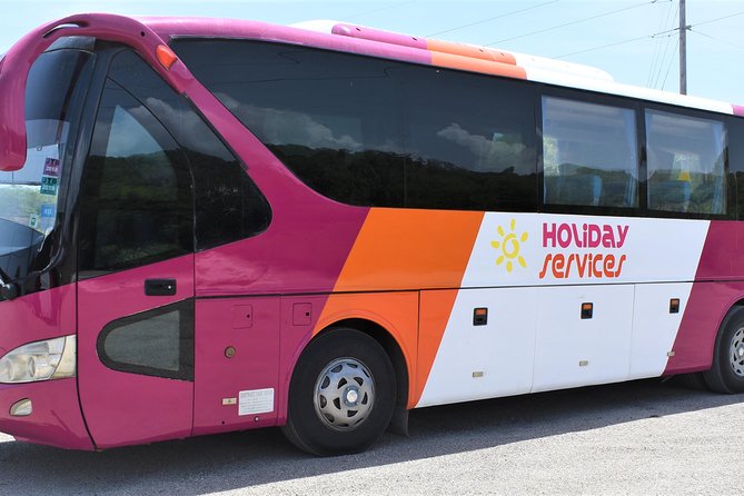 Montego Bay Airport (MBJ) Transfer One-Way or Round-Trip to Hotel - Should you book this Montego Bay airport transfer?