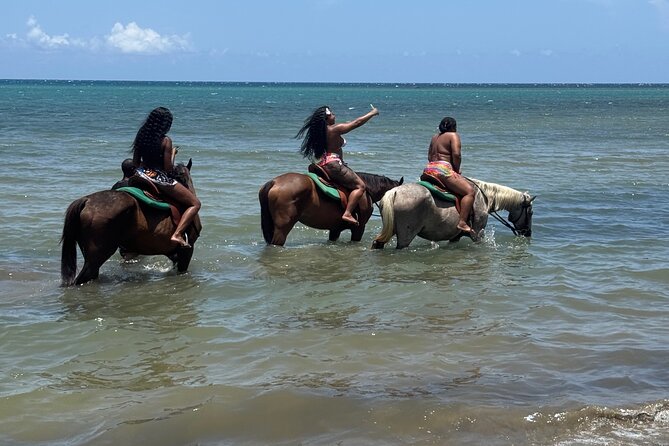 Montego Bay Beach Horseback Riding Tour - Getting matched to your horse: how the orientation sets you up