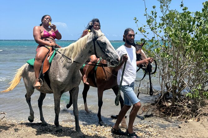 Montego Bay Beach Horseback Riding Tour - The beach ride itself: shoreline trot, wave sound, and photo moments
