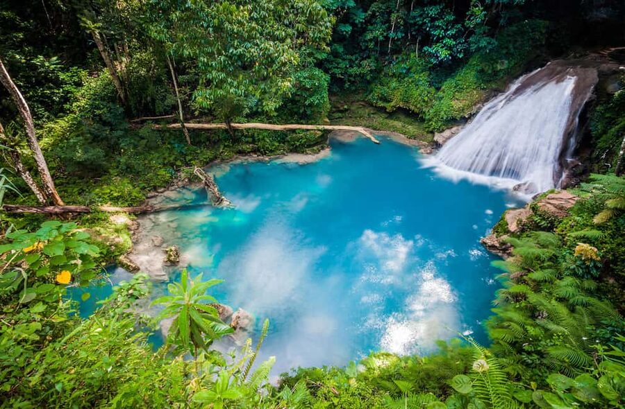 Montego Bay: Blue Hole, Dunn’s River, and Reggae Hill Tour - Dunn’s River Falls: the hands-on climb, plunge pools, and an easy viewing option