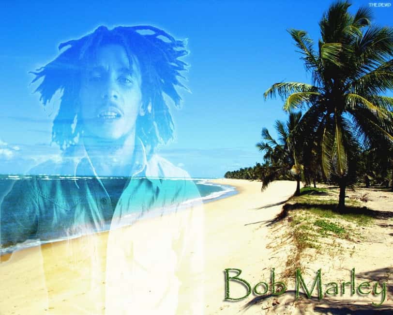 Montego Bay: Bob Marley Tour to 9 Mile, St. Ann - Key highlights to look forward to