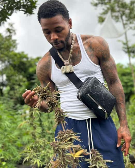 Montego Bay: Cannabis Farm, Bamboo Rafting, & Foot Massage - Key things I’d watch for