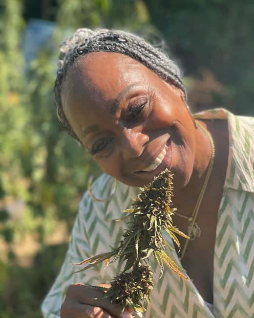 Montego Bay: Cannabis Farm, Bamboo Rafting, & Foot Massage - Who this is for (and who should think twice)