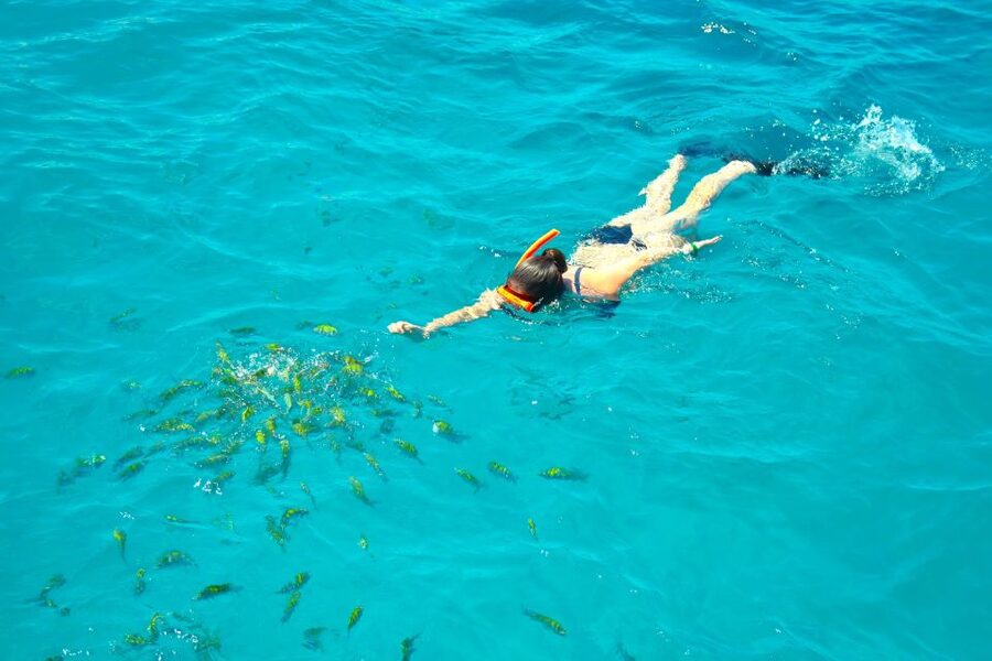 Montego Bay Catamaran Cruise and Snorkeling Tour - Cruising Montego Bay: Nets, Breeze, and the Soundtrack of Jamaica