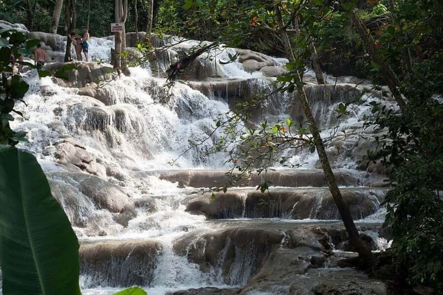 Montego Bay: Chuck Norris Falls & Dunn's River Falls Tour - Blue Hole included: a cool reset when the sun gets strong