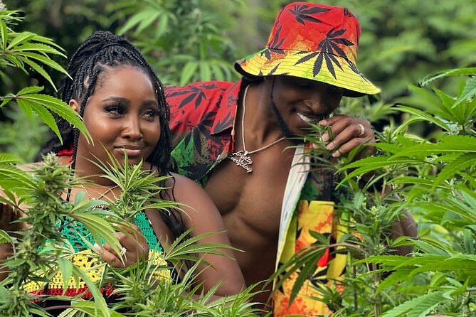 Montego Bay Exotic Herbs, Birds and Animals Interaction Tour - Key Highlights You Can Expect