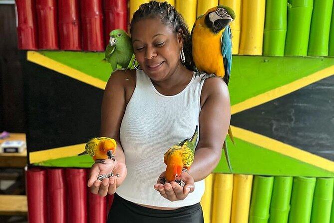 Montego Bay Exotic Herbs, Birds and Animals Interaction Tour - How the 2 Hours Feel on the Ground