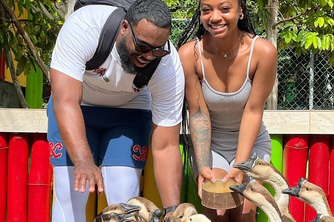 Montego Bay Exotic Herbs, Birds and Animals Interaction Tour - Getting There: Pickup, Mobile Ticket, and a Simple Arrival
