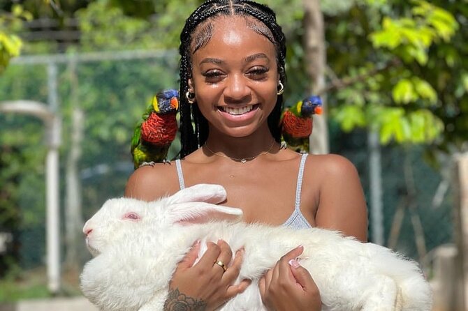 Montego Bay Exotic Herbs, Birds and Animals Interaction Tour - Who This Tour Fits Best (And Who Might Be Less Happy)