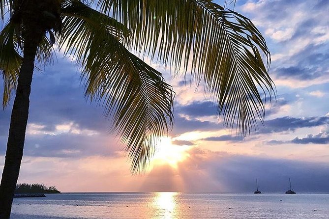Montego Bay Highlights Tour from Montego Bay - Practical tips so this half-day feels like a win