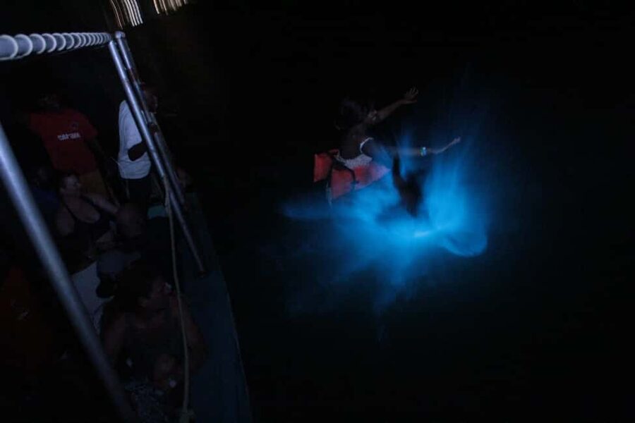 Montego Bay: Luminous Lagoon Evening Boat Tour - Montego Bay to Falmouth: The Ride That Gets You Ready