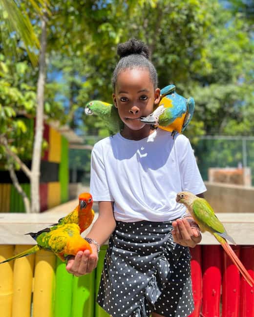 Montego Bay: Marijuana Farm and Bird Sanctuary Tour - FAQ