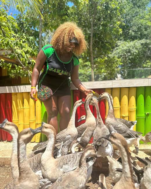Montego Bay: Marijuana Farm and Bird Sanctuary Tour - Who should book this tour, and who should think twice