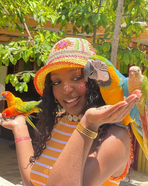 Montego Bay: Marijuana Farm and Bird Sanctuary Tour - Should you book this Montego Bay tour?