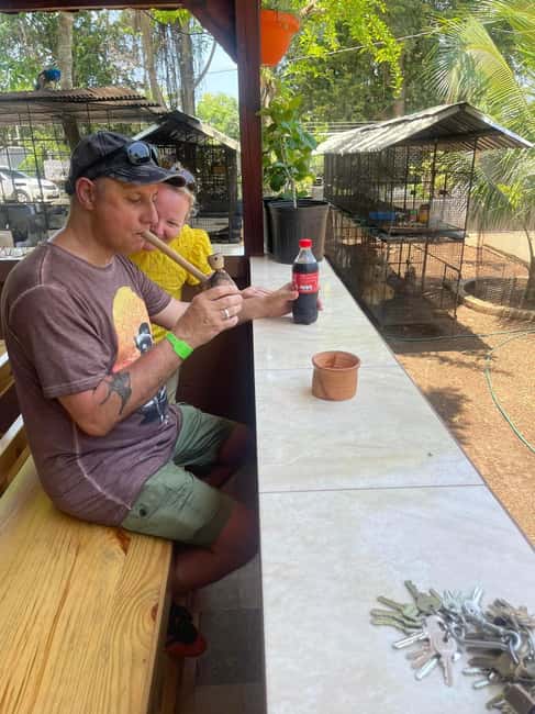 Montego Bay: Marijuana Farm Private Tour with Transportation - Hands-On Moments: Planting, Pruning, or Harvesting (Seasonal)