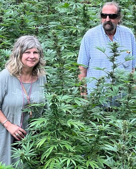 Montego Bay: Marijuana Farm Private Tour with Transportation - Getting Picked Up Around Montego Bay Without the Headache