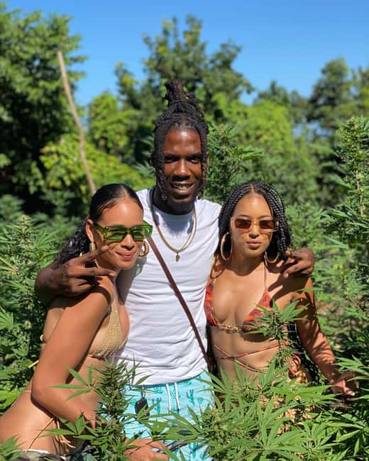 Montego Bay Marijuana Farm Tour - Practical tips for a smoother visit
