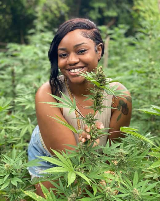 Montego Bay Marijuana Farm Tour - Cornwall County farm walk: what the tour feels like