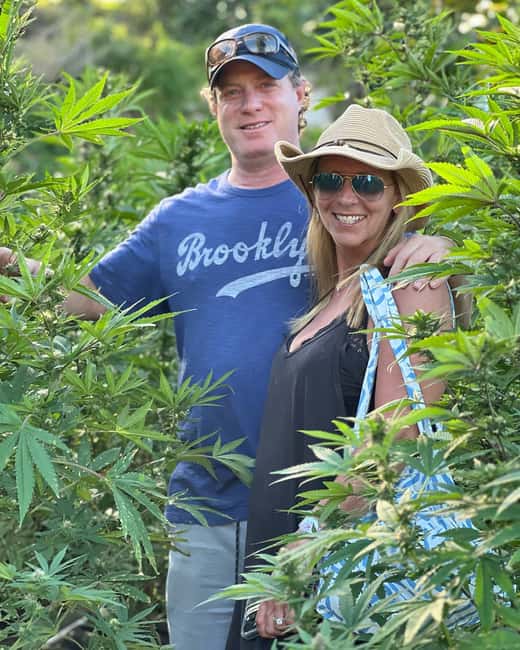 Montego Bay Marijuana Farm Tour - Getting there from Montego Bay and nearby areas