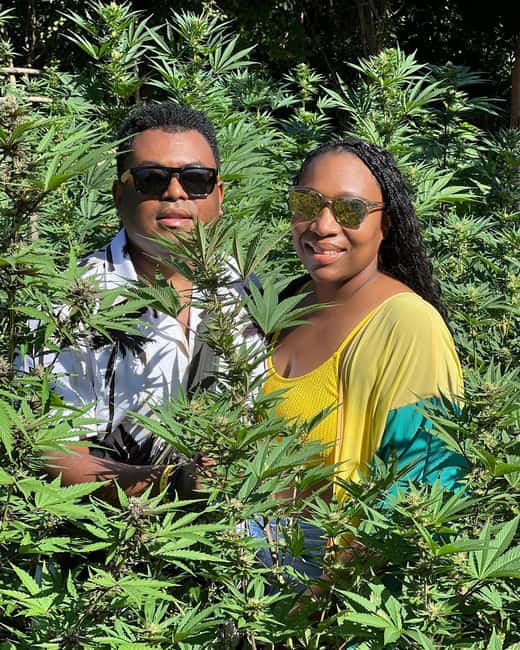 Montego Bay Marijuana Farm Tour - Price and logistics: is $140 per person worth it?