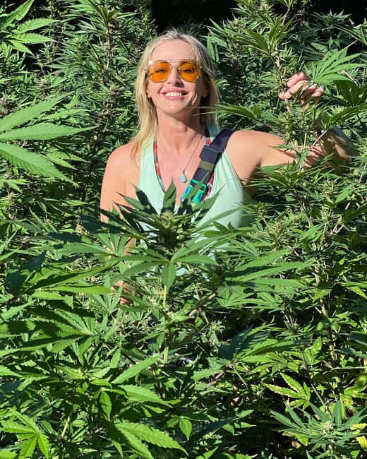 Montego Bay Marijuana Farm Tour - Who this tour suits best (and who should skip it)