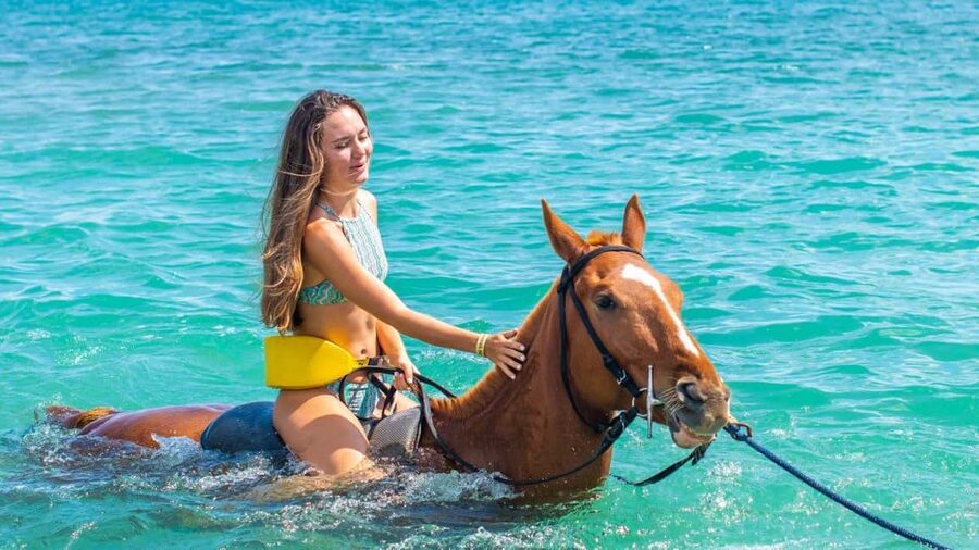 Montego Bay/Negril/Lucea: All-Access Adventure Pass - Price value: what $163 gets you (and how to judge it fairly)