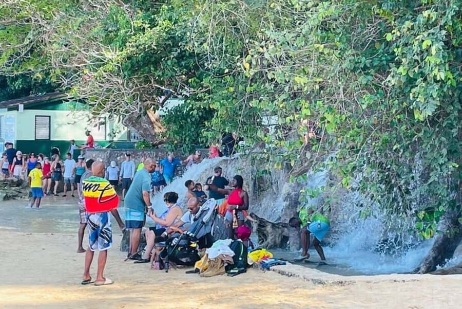 Montego Bay: Private Dunn's River Falls and Blue Hole Tour - Should you book Montego Bay: Private Dunn’s River Falls and Blue Hole Tour?