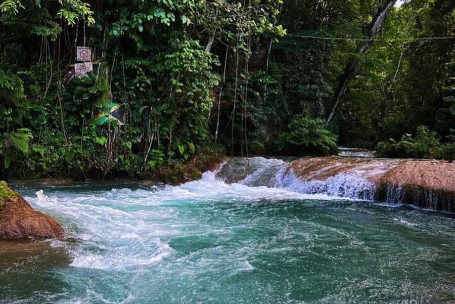 Montego Bay: Private Dunn's River Falls and Blue Hole Tour - Island Gully Falls Blue Hole: clear water, rope swings, and guided safety