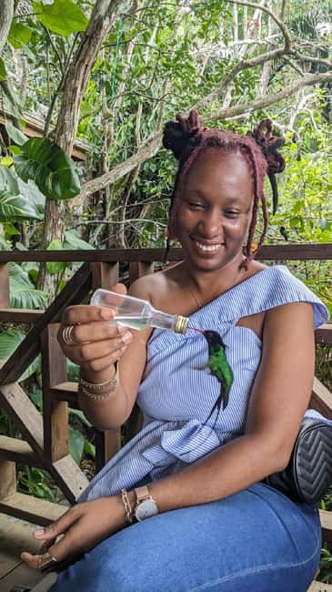 Montego Bay: Private Rocklands Bird Sanctuary Trip - Inside the sanctuary: feeders, seeds, and the hummingbird payoff