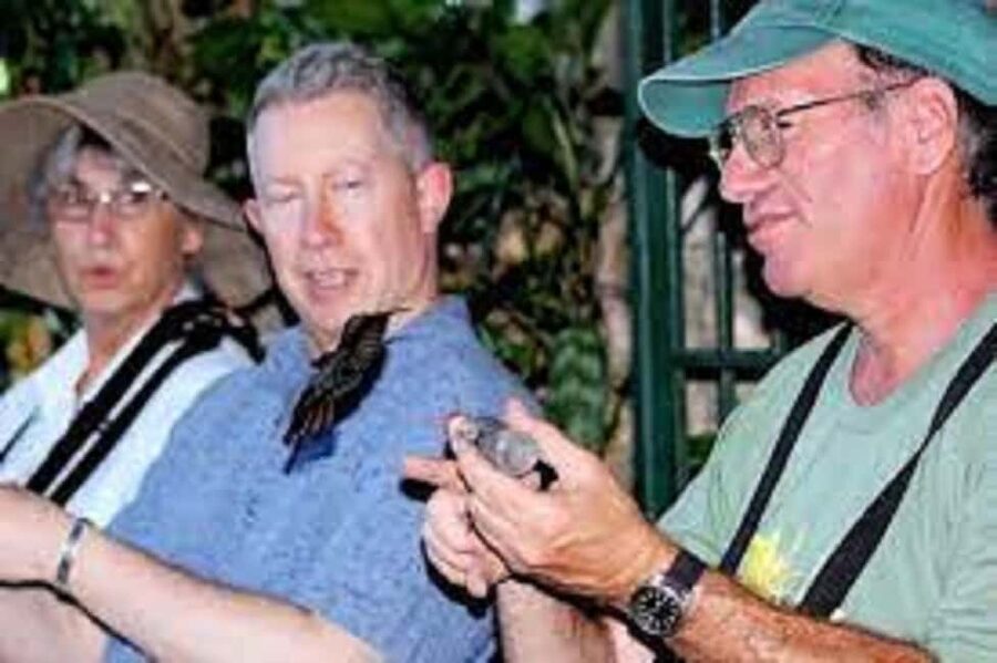 Montego Bay: Private Rocklands Bird Sanctuary Trip - Should you book this Rocklands Bird Sanctuary private trip?