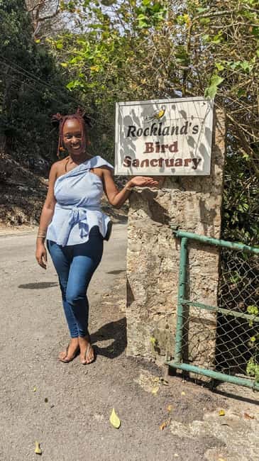 Montego Bay: Private Rocklands Bird Sanctuary Trip - Private driver and the real value of the $94 group price