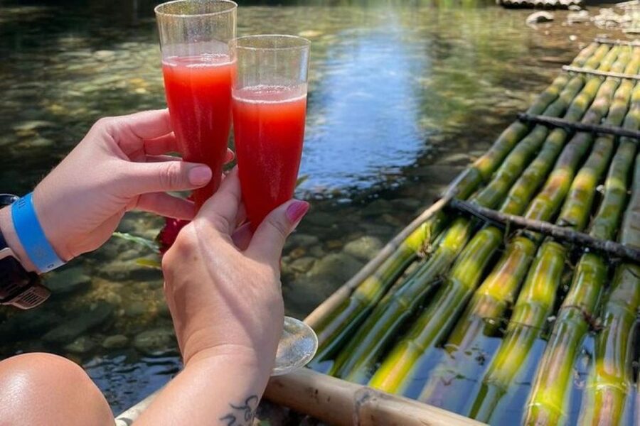 Montego Bay: River Rafting and Dunn's River Falls Day Trip - Price and Value: Is $195 Per Person Fair?