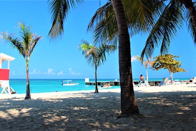 Montego Bay Shore Excursion: Doctor's Cave Beach & Montego Bay City Highlights - What You’re Actually Paying For: Value at $100