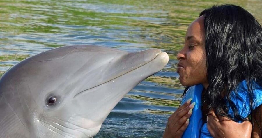 Montego Bay: Swim With The Dolphins Adventure in Lucea - Kayak in a Private Lagoon: A Different Pace After Dolphin Time
