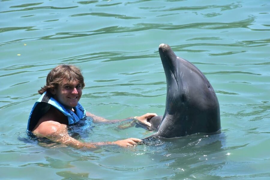 Montego Bay: Swim With The Dolphins Adventure in Lucea - Value Check: Is $174 Worth It?