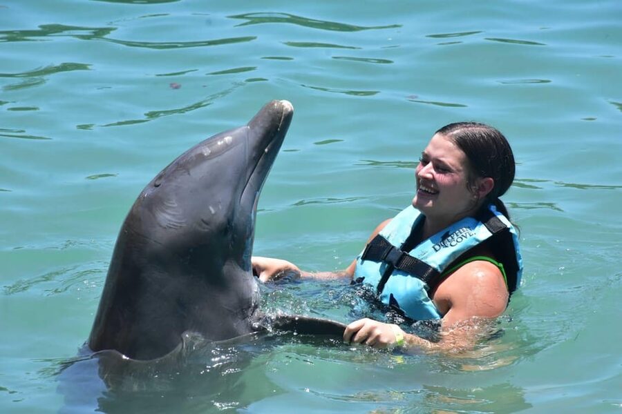 Montego Bay: Swim With The Dolphins Adventure in Lucea - Who This Dolphin Adventure Is Best For