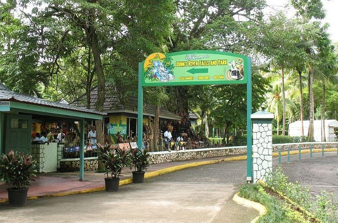 Montego Bay to Dunn's River Falls Half-Day Trip - Getting to the falls: what the ride time feels like